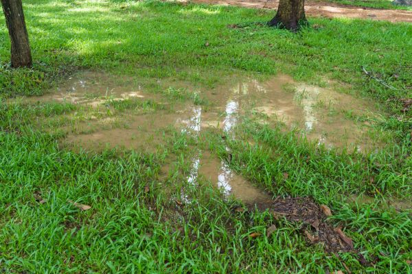 Cost of Storm Water Drainage Service in Winston Salem