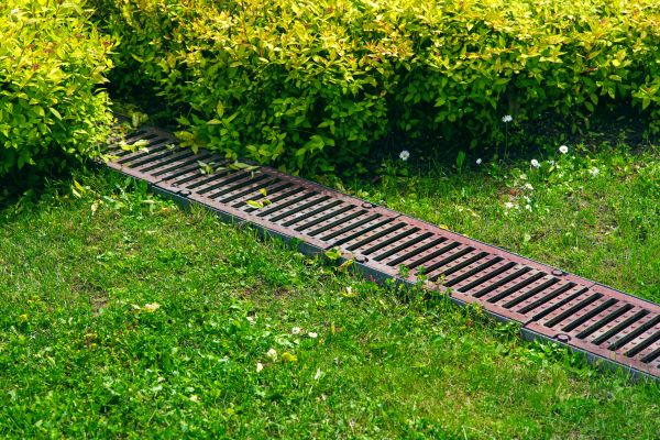 Cost of Lawn Drainage in Winston Salem