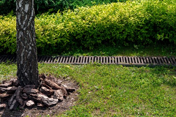 Cost of Yard Water Redirection in Winston Salem