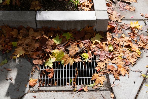 Drainage System Clearing