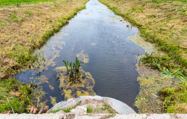 Irrigation Drainage