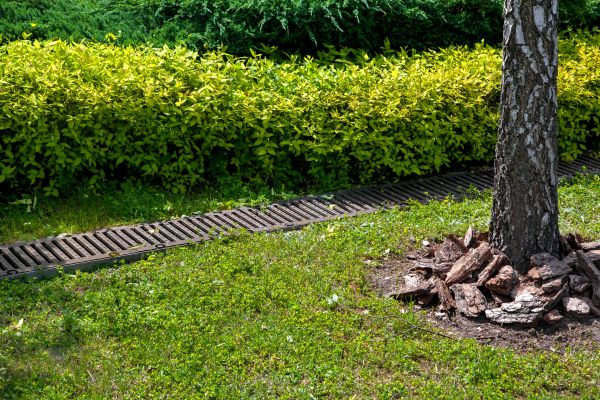 Cost of Residential Landscape Drainage in Winston Salem