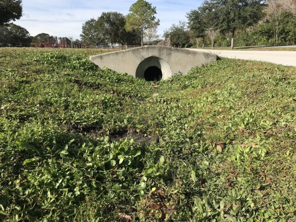 Cost of Swale Drainage Service in Winston Salem
