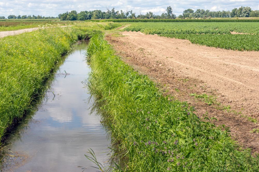 Drainage Ditch Installation